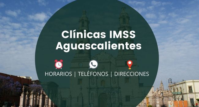 CLINICAS IMSS Aguascalientes