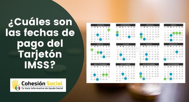 Calendario de Pagos del IMSS 2023: Tu Guía Completa