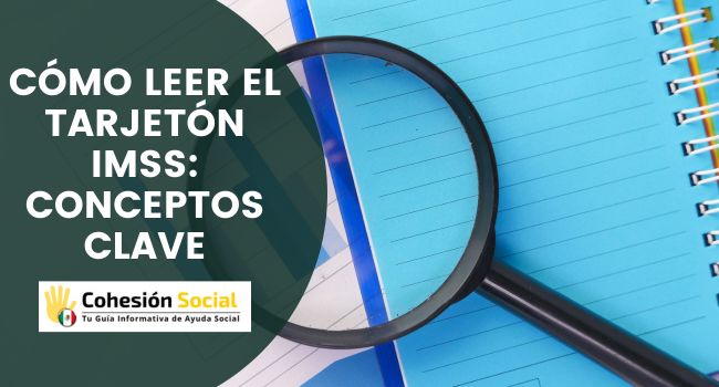 ¿Cómo leer el Tarjetón Digital del IMSS? Conceptos, Percepciones y Deducciones