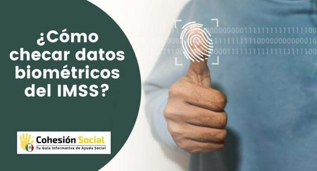 Consultar biométrico IMSS checadas: trabajadores activos