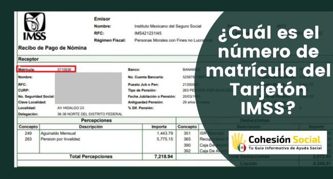 ¿Cuál es la matrícula del Tarjetón IMSS?