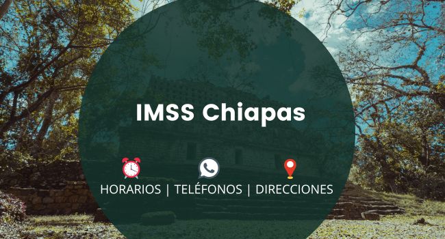 IMSS Chiapas: Clínicas y Hospitales