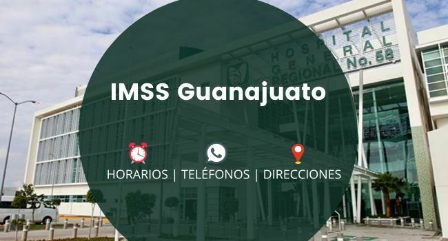 IMSS Guanajuato: Clínicas y Hospitales