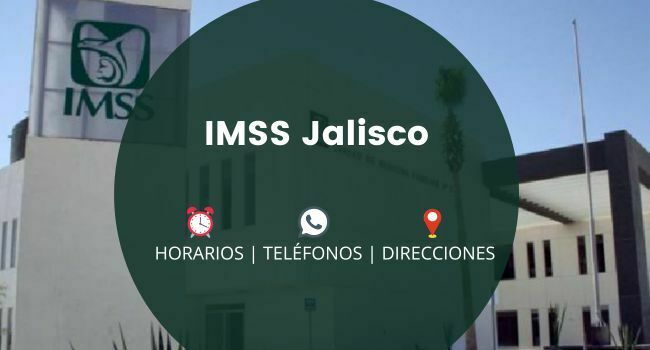 IMSS Jalisco: Clínicas y Hospitales