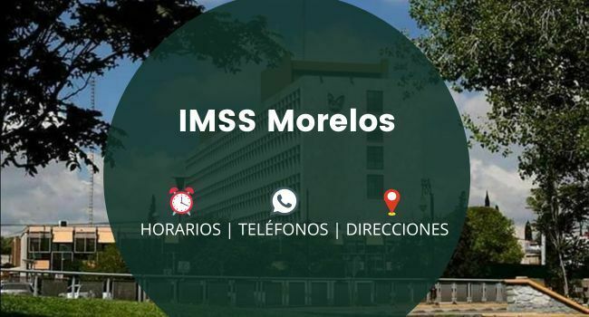 IMSS Morelos: Clínicas y Hospitales
