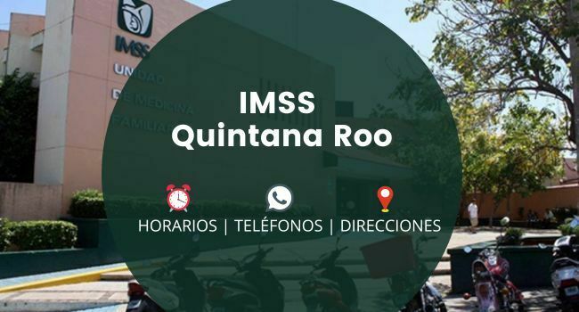 IMSS Quintana Roo: Clínicas y Hospitales