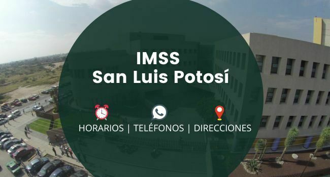 IMSS San Luis Potosí: Clínicas y Hospitales