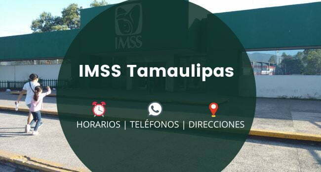 IMSS Tamaulipas: Clínicas y Hospitales