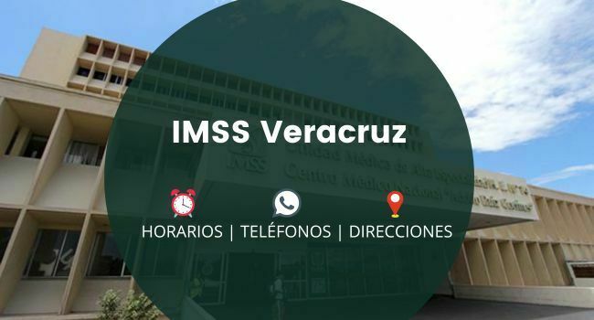 IMSS Veracruz: Clínicas y Hospitales
