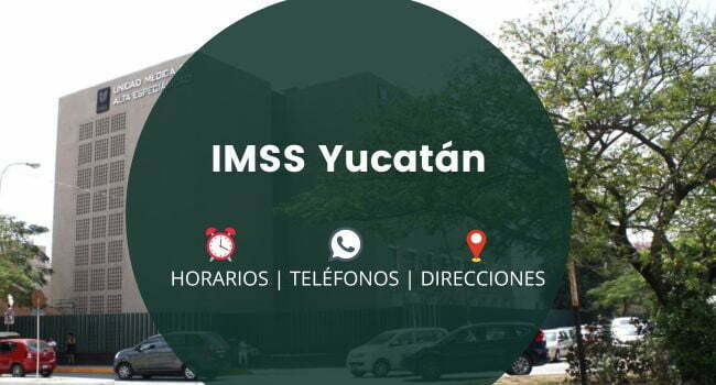 IMSS Yucatán: Clínicas y Hospitales