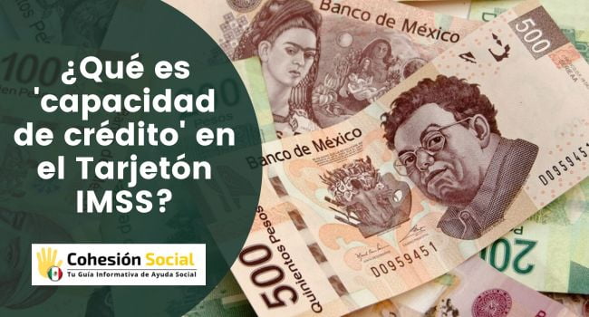¿Qué significa la capacidad de crédito en el Tarjetón IMSS?