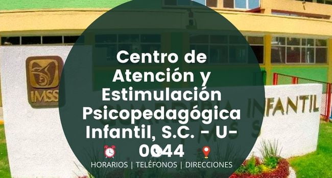 Centro de Atención y Estimulación Psicopedagógica Infantil, S.C. - U-0044