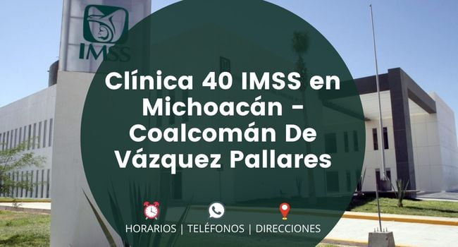 Clínica 40 IMSS en Michoacán - Coalcomán De Vázquez Pallares